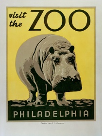 Zobacz obraz Plakat Zoo hipopotam, V_PLA_011