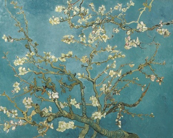 Zobacz obraz  Vincent van Gogh, Almond Blossom, MAL_V_V_GOG_007