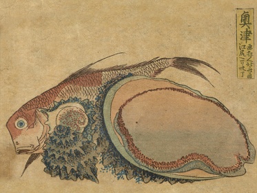 Zobacz obraz HOKUSAI KATSUSHIKA 003, MAL_K_HOK_003