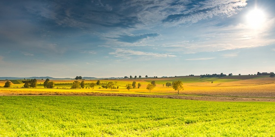 Zobacz obraz pejzaż 130, NAT_WID_130