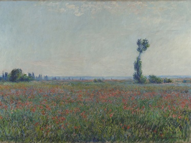 Zobacz obraz  CLAUDE MONET 092, MAL_C_MON_092