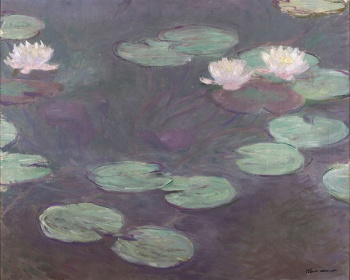 Zobacz obraz  CLAUDE MONET 107, MAL_C_MON_107