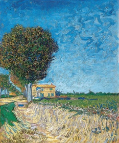 Zobacz obraz  VINCENT VAN GOGH 050, MAL_V_V_GOG_050