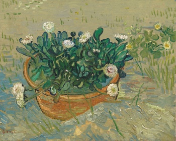 Zobacz obraz VINCENT VAN GOGH 104, MAL_V_V_GOG_104