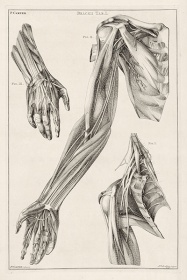 Zobacz obraz  ILUSTRACJA, SZKIC 049, LIT_SZ_049